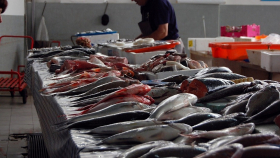 Российский сенатор призвал предоставлять поддержку рыбопереработчикам